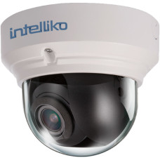INT-VIPDC80-P02: 6 Мп профессиональная купольная IP видеокамера (3.6-10 мм)