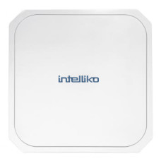 INT-VWFI50-E01 (RM-FA94-WAS2000): Точка доступа WiFi в металлическом корпусе до 20км (5.8 ГГц)