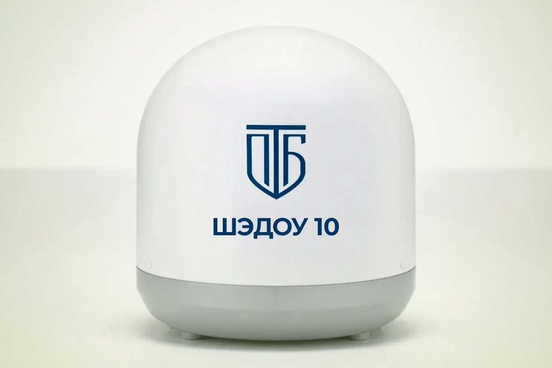 ШЭДОУ 10